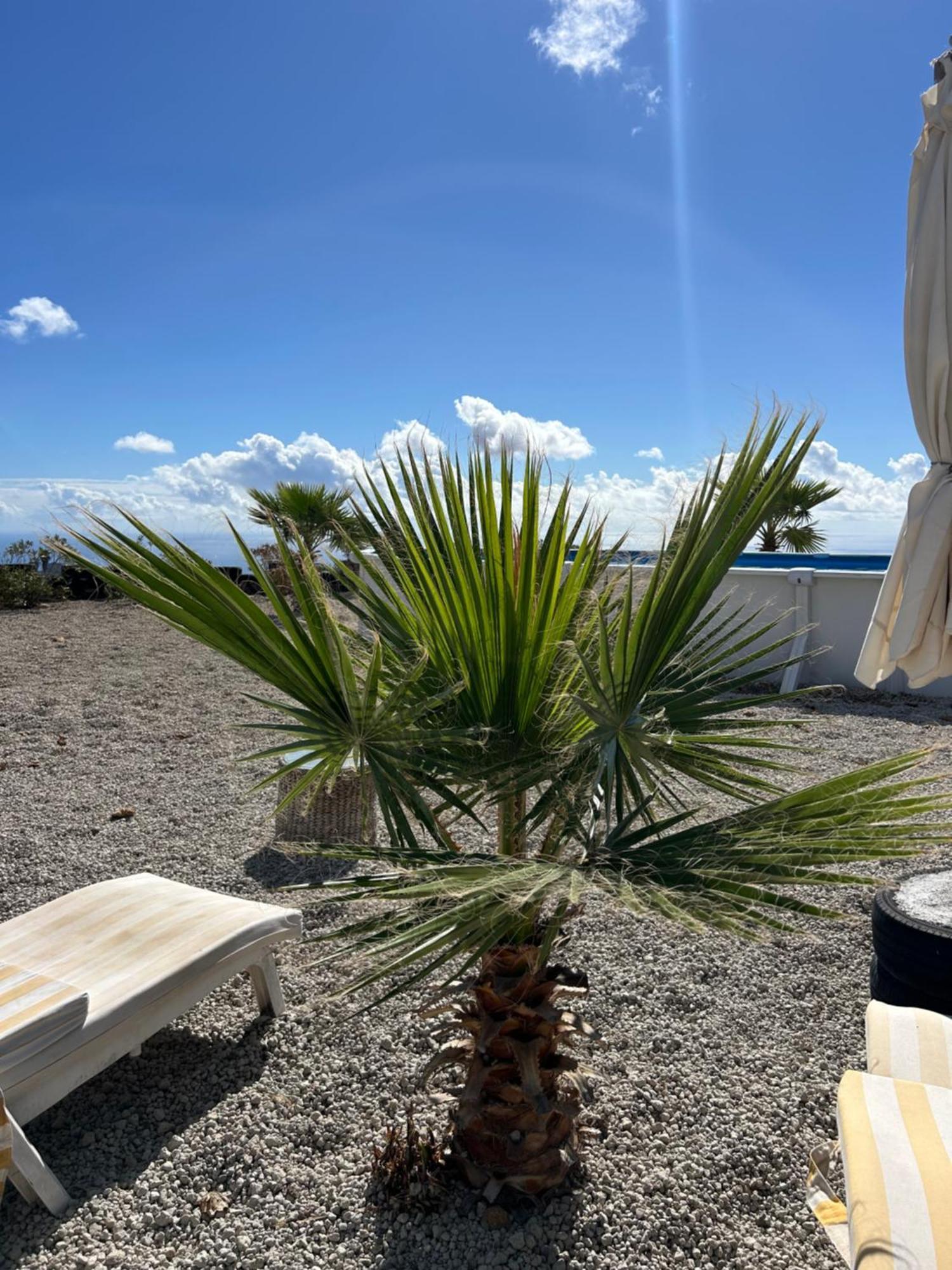 Apartament Casa Mirador Arona  Zewnętrze zdjęcie